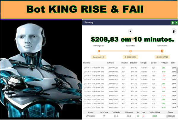 BAIXE GRÁTIS O  BOTKING RISE & FAll