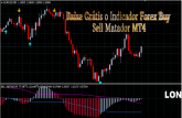 Baixe Grátis o Indicador Forex Buy Sell Matador MT4