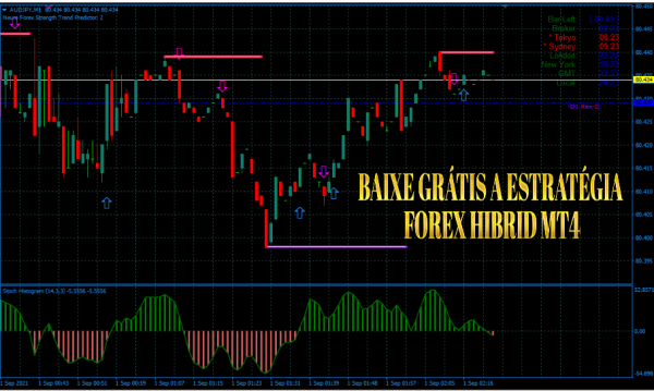 BAIXE GRÁTIS A ESTRATÉGIA FOREX HIBRID MT4